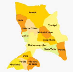 Notícia